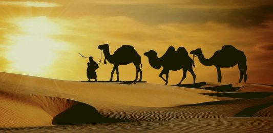 Kisah inspirasi Imam Syafie