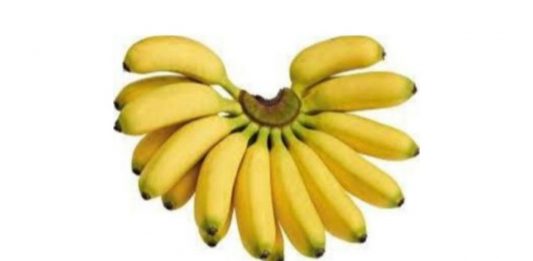 kenapa Pisang emas dibawa belayar_